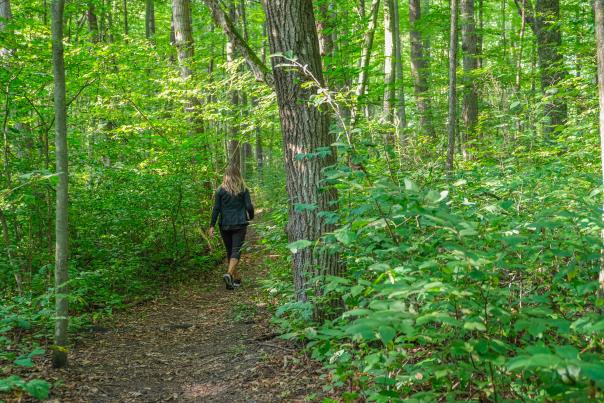 Woman walking on trail in green woods