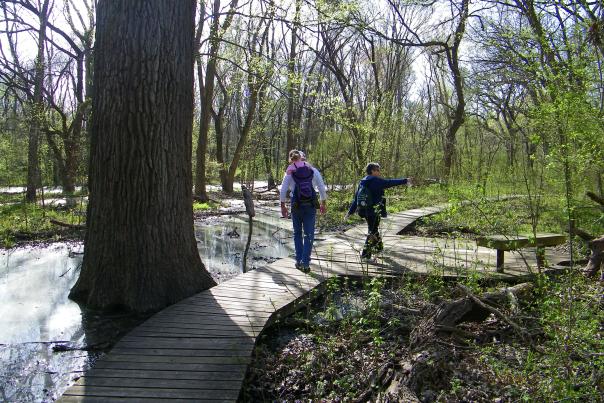 People walking on wooden walkway through Heard Museum wetlands