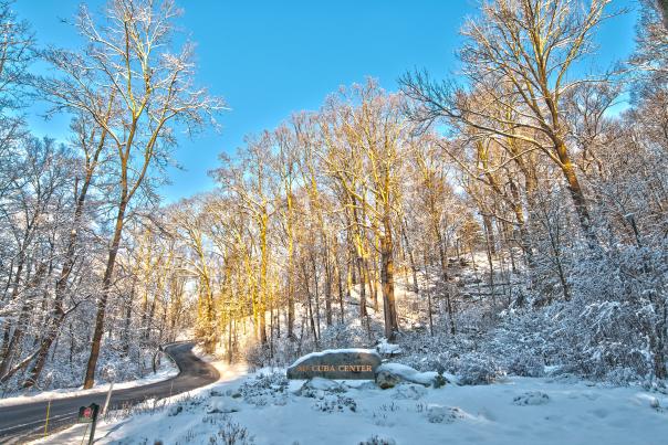 Mt Cuba Center Winter