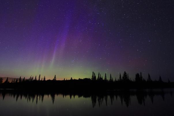 Northern Lights by Travis Novistsky