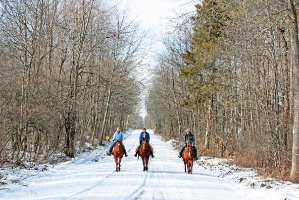 DK Ranch Horseback Riding through FL Forest in Winter