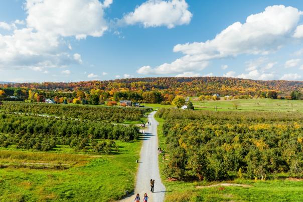 Marker-Miller Orchards