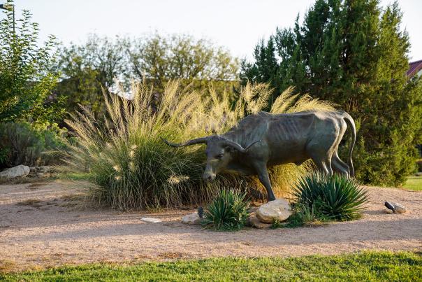 National Ranching Heritage Center__0034_2017
