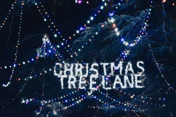 Christmas Tree Lane
