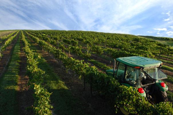 Lakeridge Winery & Vineyards tractor