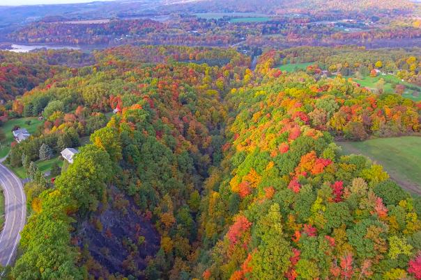 Scenic Fall Leaves and Landscape above Highland Forest