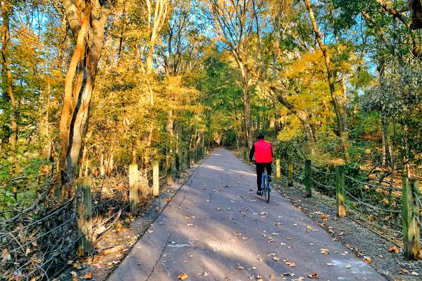cyclist along the greenway during fall