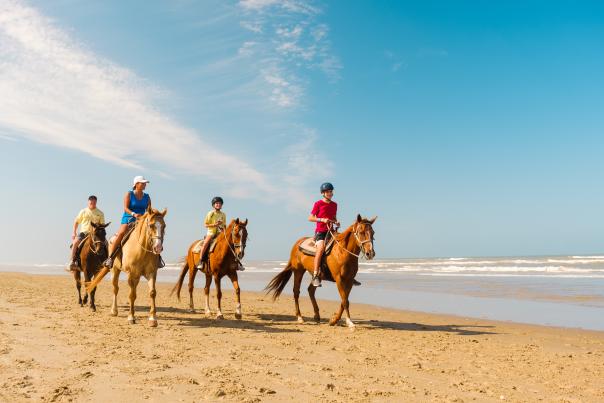 South Padre_Horseback Riding