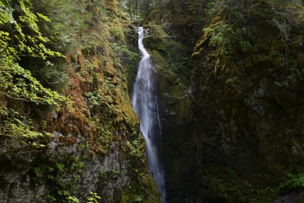 Pinard Falls by Sally McAleer