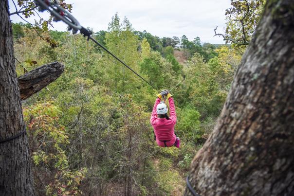 New York Texas Zipline Adventures Back View