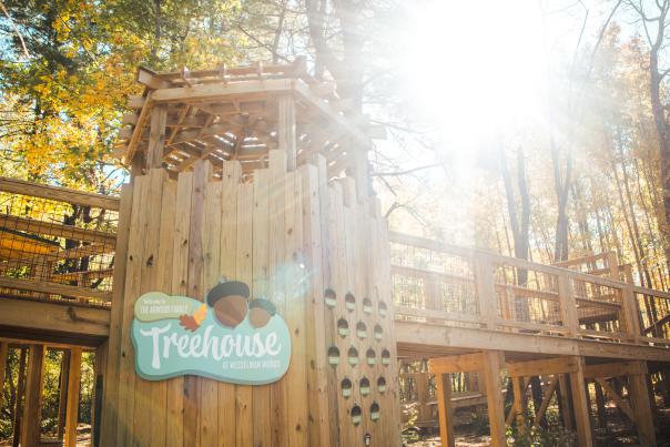Fall Arwood Treehouse