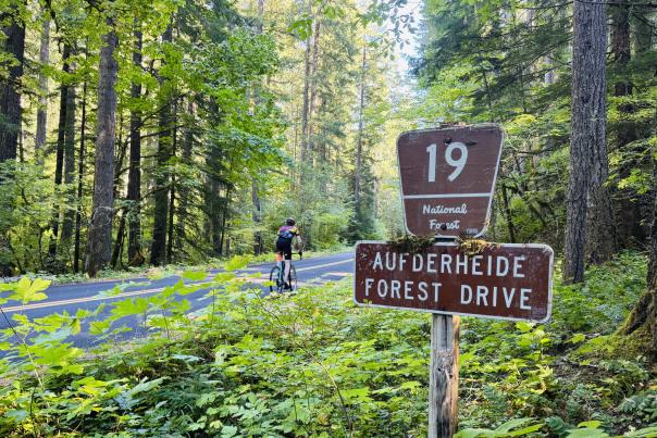 A cyclist rides through green leafy foliage by the Aufderheide road sign.