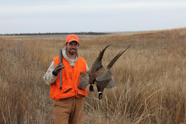 Pheasant Hunting Fall Season