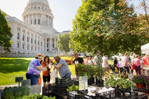 A group of three women put vegetables in a bag while shopping at the farmers' market with the Capitol building in the background