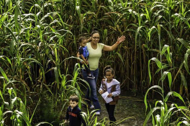 Gallberry Farms Mom and Kids