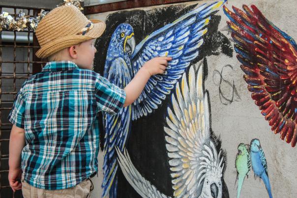 young boy in front of bird mural