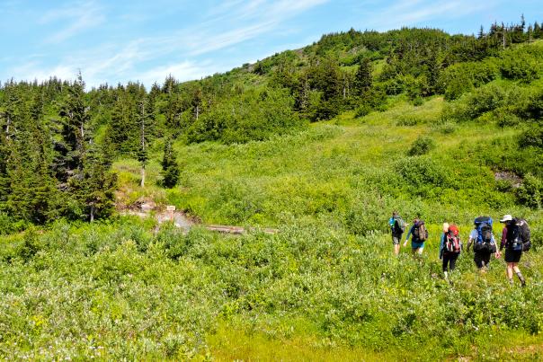Hiking near Spencer Glacier