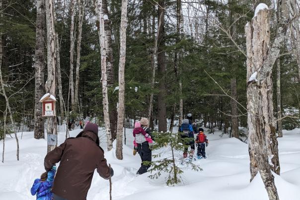 a family snowshoes in the woods