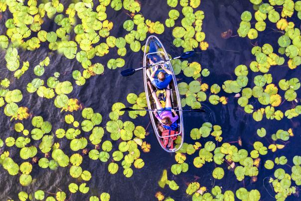 Aerial view of a kayak on a lake in Winter Park