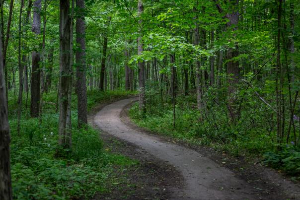 Trail at Harris Nature Center