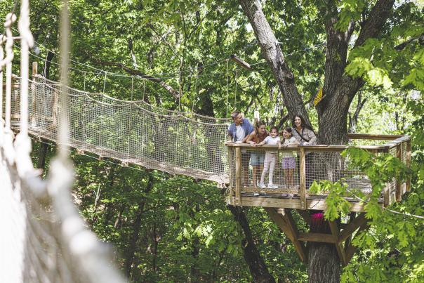Shepherd Family Spring Attraction Outdoors