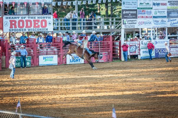 Bucking Bronc at Spooner Rodeo