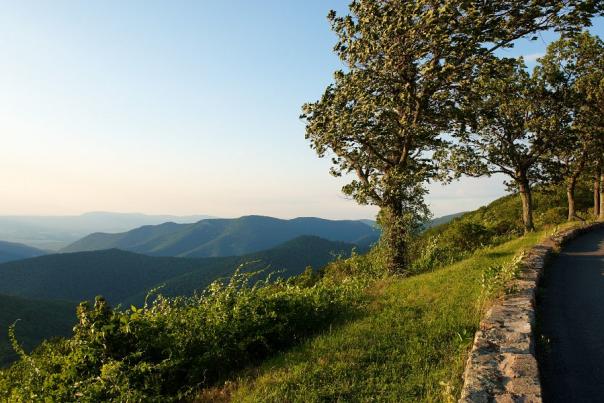 Skyline Drive