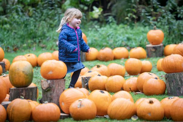 Hillsborough Castle Halloween
