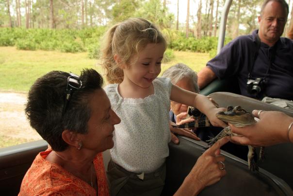 Little girl touching a baby alligator on a Babcock Ranch Eco-Tour