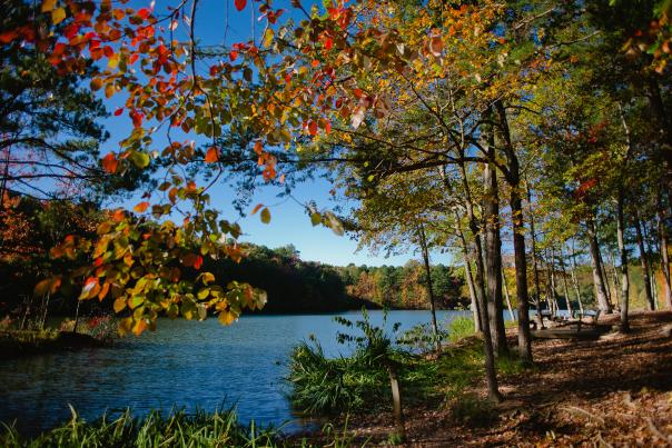 Fall foliage on a lake at Green Mountain Trail in Huntsville