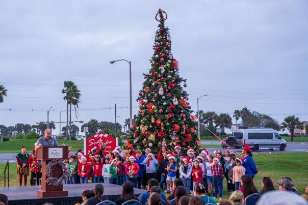 Christmas Tree Lighting