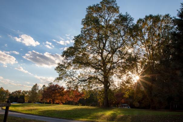 White Clay Creek State Park