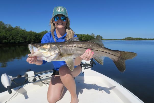 Nice Snook Caught in Charlotte Harbor.