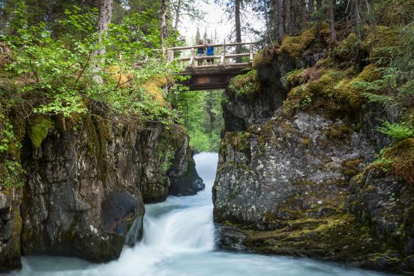 Winner Creek Trail explores the streams of Chugach National Forest.