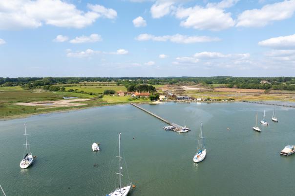 New Forest Escapes - Hero image