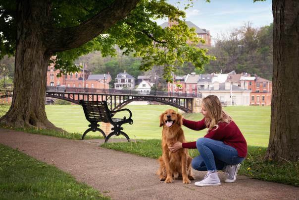 Woman petting dog in park