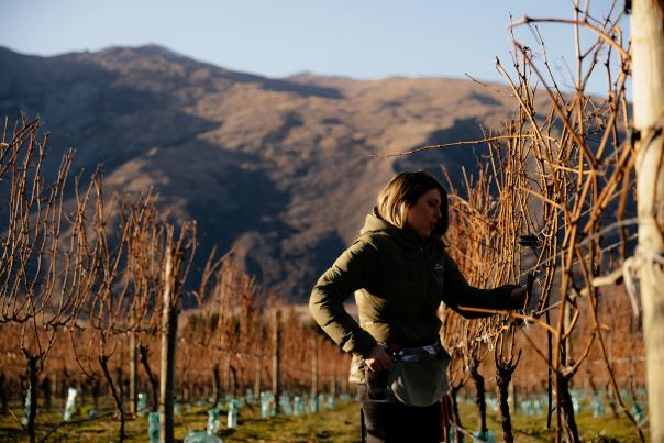 Coat Pit Winemaker - Anika in a vineyard