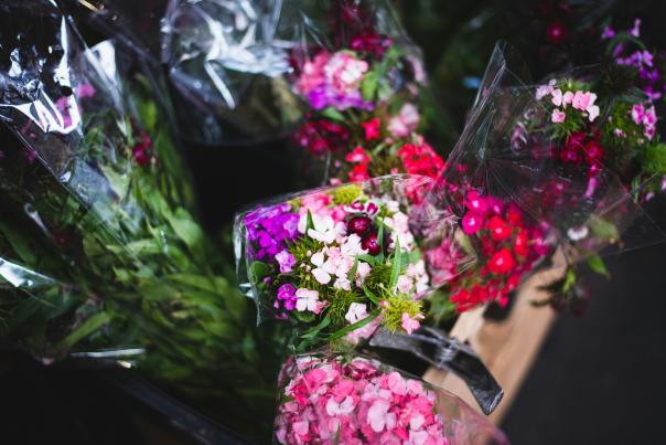 Botanical Garden Florals