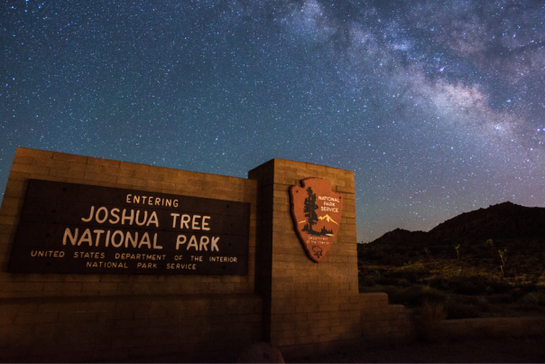 Joshua Tree National Park Night Sky