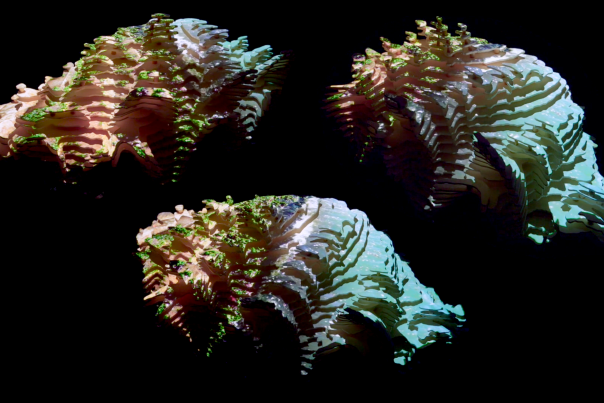 Bruce Hamilton + Susanna Carlisle - Zattere