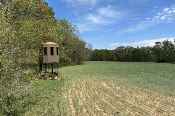 Spring Turkey Hunt - Ellsworth
