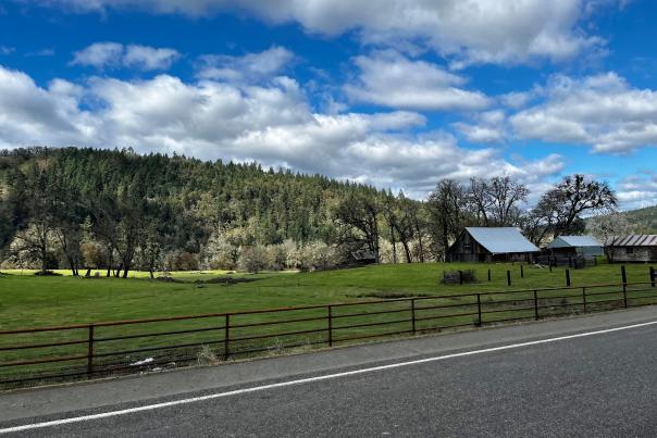 Green farmland and blue sky make a beautiful cycling backdrop.