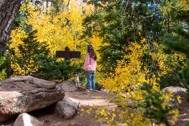 Fall Hiking in Cedar Breaks National Monument