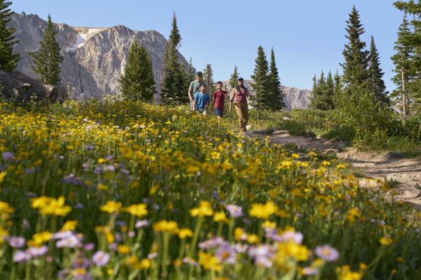 A family of four hikes along a narrow dirt trail through a colorful alpine meadow filled with yellow and purple wildflowers. Tall evergreen trees surround the path, and rugged, rocky mountains rise in the background under a clear blue sky.