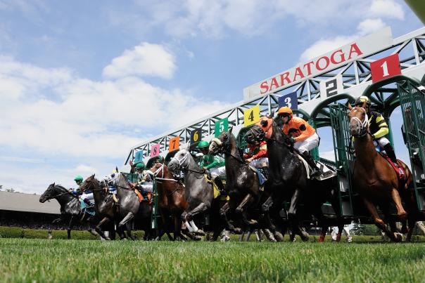 horses racing on