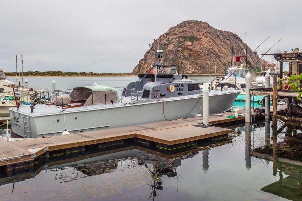 P-520 Boat Danna Photo