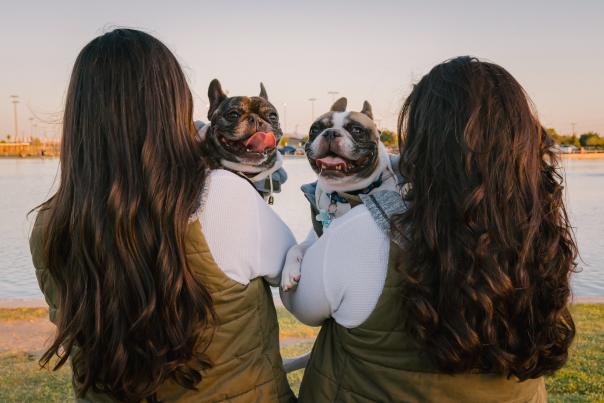 Two women from behind holding french bulldogs