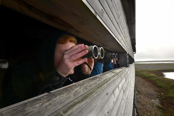 Bird watchers holding binoculars in a bird hide at Rye Harbour, Sussex