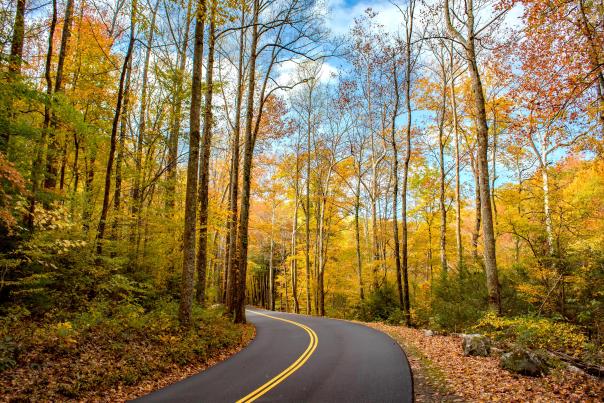 Autumn in Gatlinburg and the Smokies