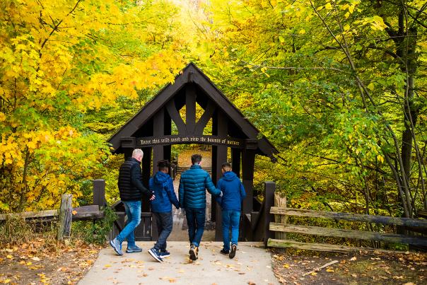 Fall Hiking in Seven Bridges Park